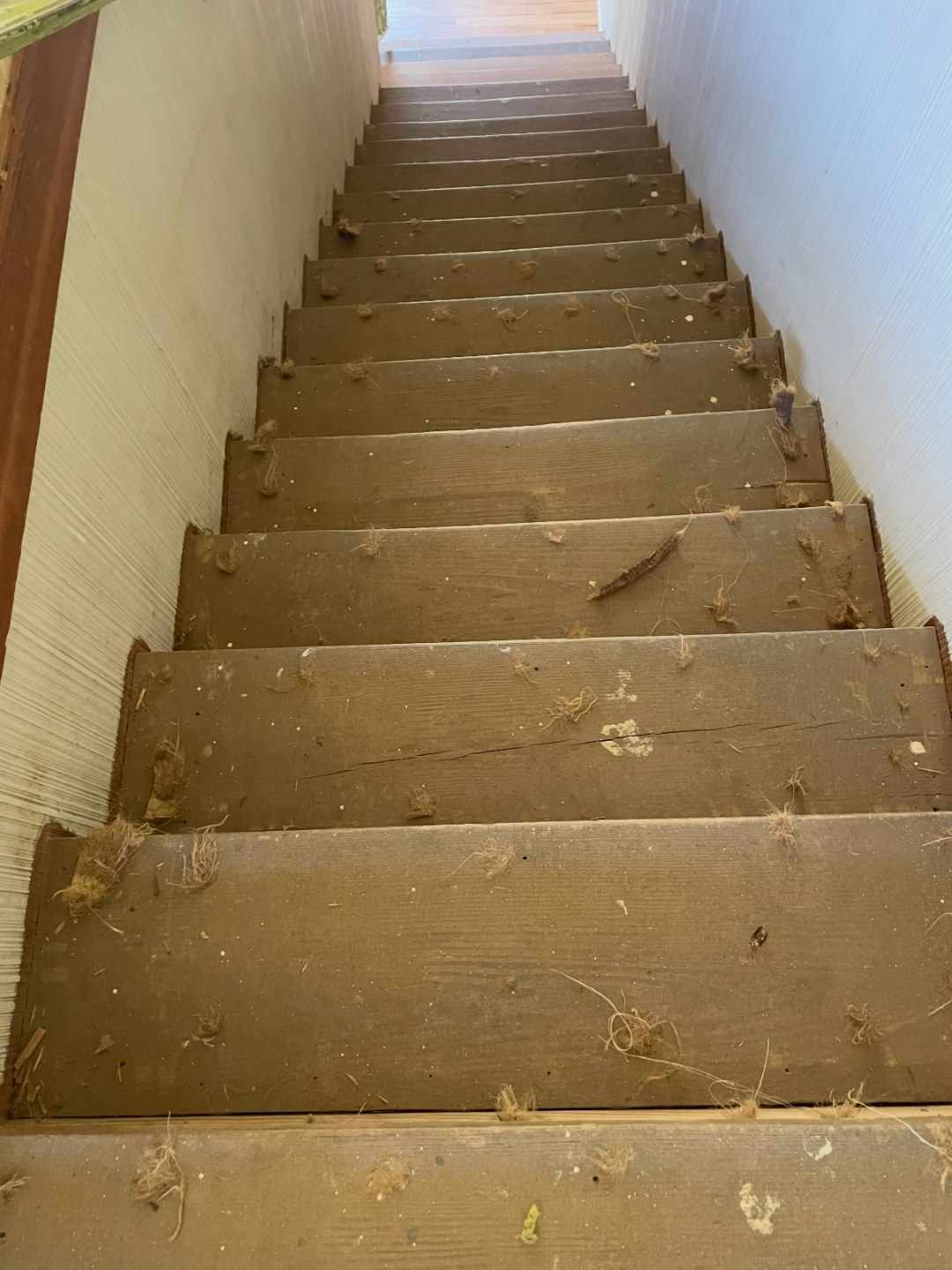 Wood steps refinish — before
